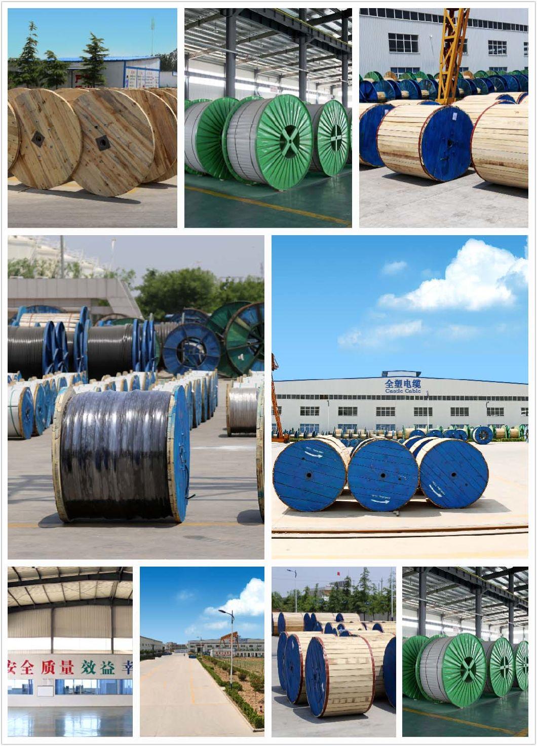 XLPE Insulated Armoured Marine Cable