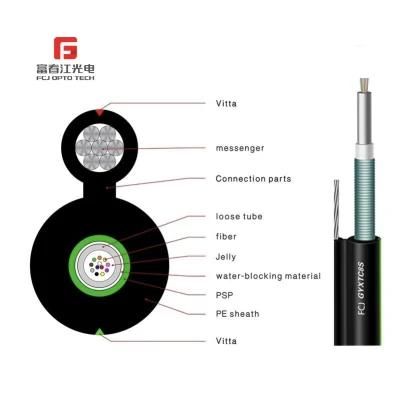 Fcj 29 Years OEM Factory Competitive Price Corrugated Central Tube 2 4 6 8 10 12 Core Gyxtc8s Fiber Optic Cable Reels