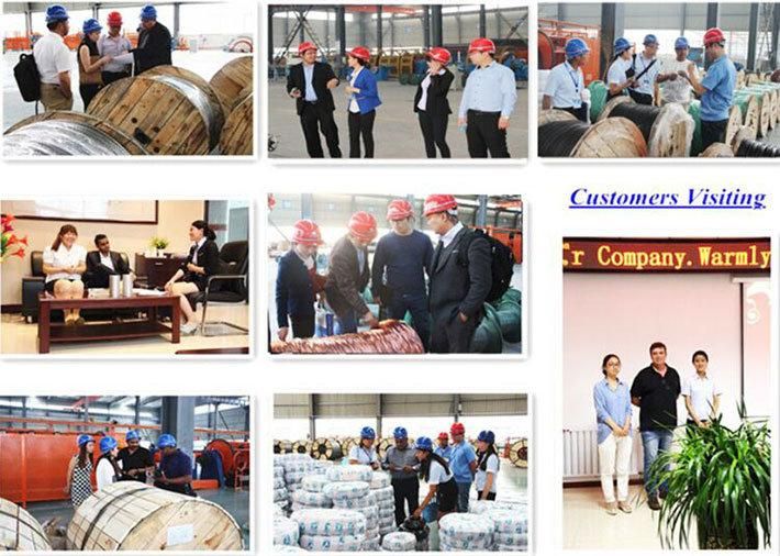 ACSR Aluminum Conductor Steel Reinforced ACSR Cable
