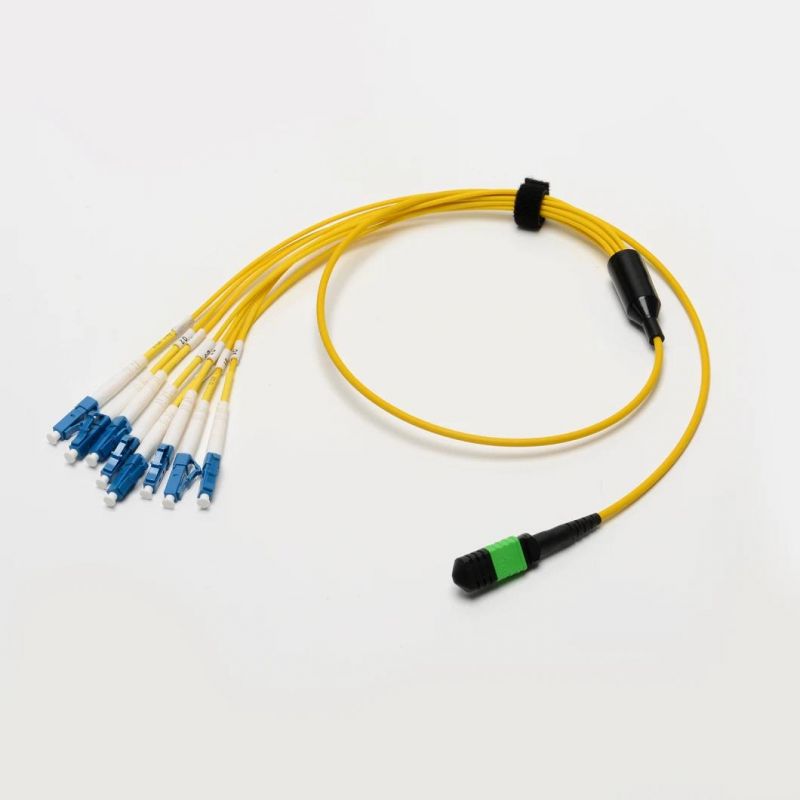 Fiber Optic MPO MTP Elite Trunk Cable Sm 8core Patch Cord