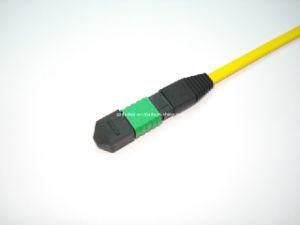 MPO Fiber Optic Patch Cord (MPO)