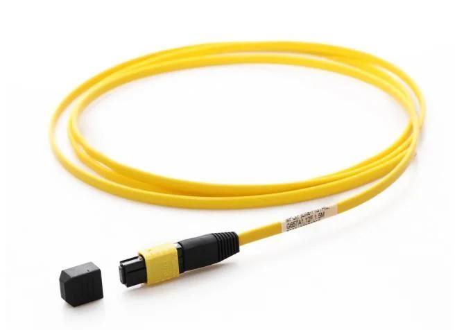 MTP Pigtail Sc Patch Cord Dys 12 Fiber Optical Communication Cables OEM Factory Testing Kit Ribbon MTP MPO Sc LC Patch Cord Pigtail 12 Cores FTTH FTTX Solution