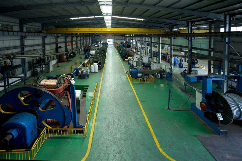 PVC Electric Control Cable Copper Tape Screened, Steel Wire Armored, Steel Tape Armored