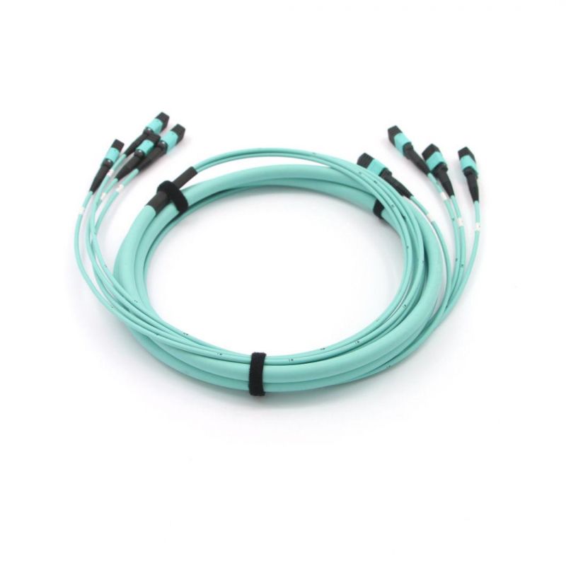 MPO (Female) -MPO (Female) Optical Fiber Patch Cord with Om5 Fiber Cable 10 Meter