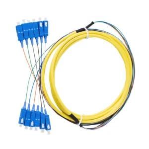 Sc Fiber Bundle/Pigtail (12 CORE)