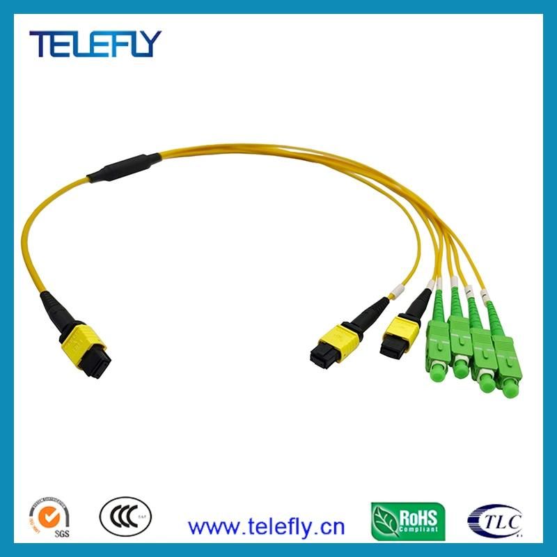 China Supply Om3 MPO/MTP-LC Fiber Optic Harness Patch Cord MTP MPO Cable