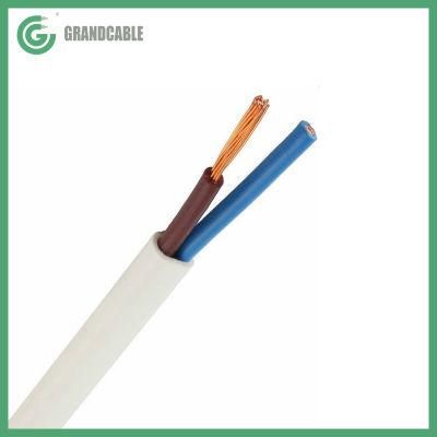 H05VV-F 2x4mm2 300/500V PVC Insulated Multi-core Cables With Flexible Copper Conductor