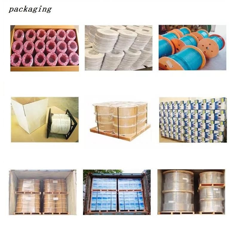 Outdoor Filled U/UTP Cat5e Cables & Wires China