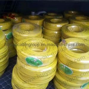 2.5mm2 4mm2 6mm2 10mm2 10mm Copper Single Core Cu Al PVC Plastic Insulated 450 750V Nh Zr BV Blv Electric Cable Wire for House Wire