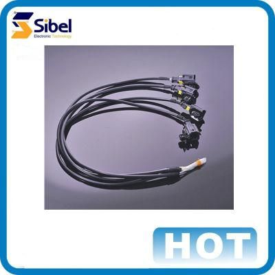 Customized Electric Vehicle Exclusively Wire Harness/EV Cable/EV Cable Assembly
