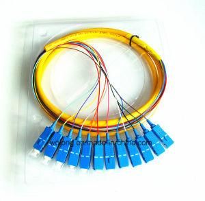 Sm SC/PC 12 Cores Fiber Optic Pigtails