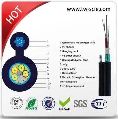 Professional Manufacturer 24core Self Support Fiber Optic Cable GYTC8S