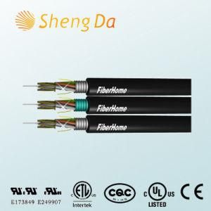 Long Distance and LAN Network Communication Fiber Optic Cable