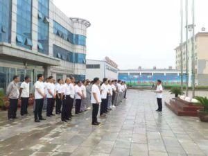 Outdoor Waterproof Electrical Copper Power Cable Extrusion Line, Cable Extruder for Industrial Yjv22 0.6/1kv Power Cable