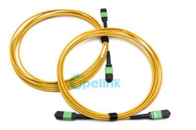 High Performance High-Density MPO-MPO Trunk Fiber Optic Patch Cord with Factory Price