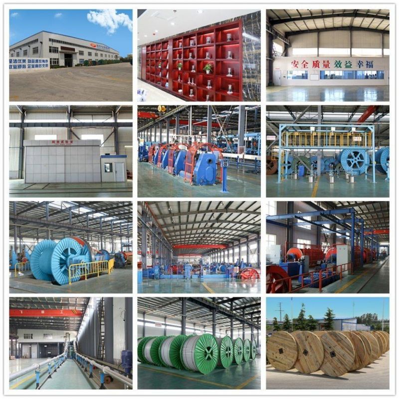 3.6/6kv Copper Conductor XLPE Electric Cable Electric Wire Power Cable