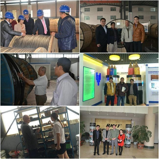 Chinese Top Quality AAAC Bare Conductor for Power Transmission