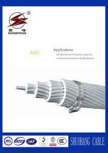 Low Voltage Overhead Transmission Line Conductor ACSR Rabbit and ACSR Dog