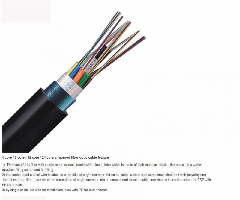 2 / 4 / 6 / 12 Core Single Mode Armoured Fiber Optic Cable