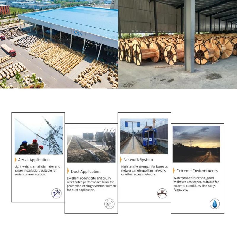 Factory Price Outdoor ADSS/GYTS/GYTC8S Cable Aerial Fiber Optic/Optical Cable and FTTH Drop Cable