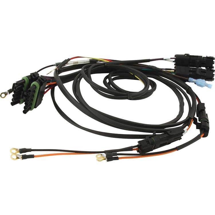 Automotive Ignition Wire Harness Dual Box