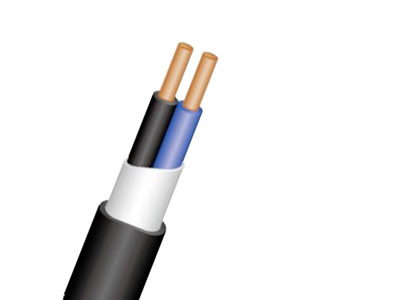PVC Insulated Wires of Rated Voltages up to and Including 450/750V Sheathed Electric Wire for Fixed Wiring