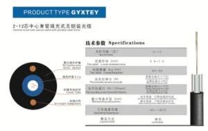 Flex Optic Cable, 2-12 Core Center Beam Tubes Fill without Armored The Optic Cable