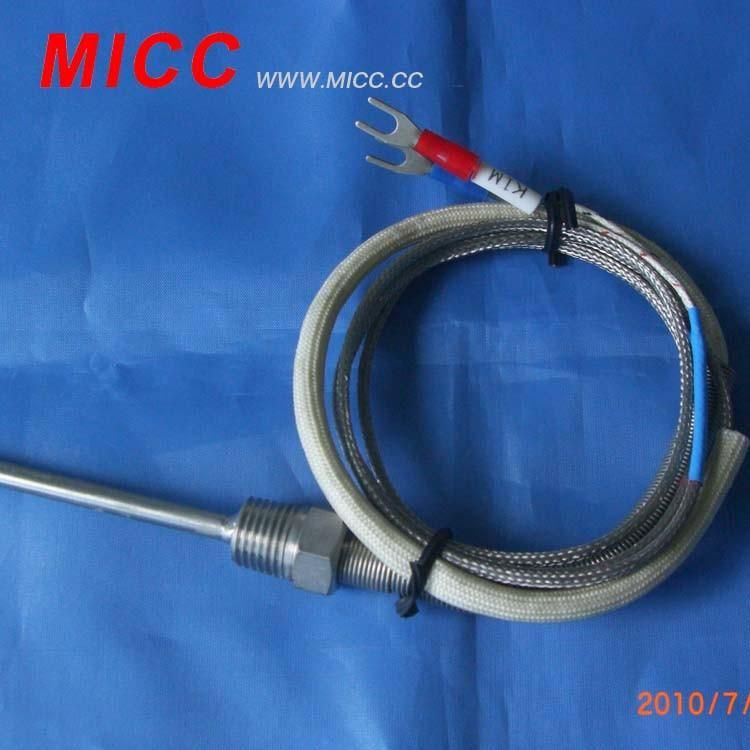 Micc Thermocouple (Double Needle) (WRNM-202B)