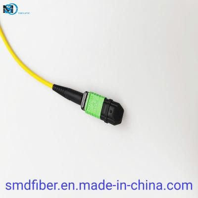 Optical Fiber MPO to MPO 12 Core LSZH Fiber Patch Cable
