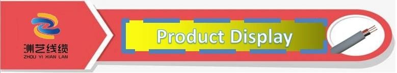 Africa Market Flat Cable with Earth Core Customized Size Copper Conductor Cable