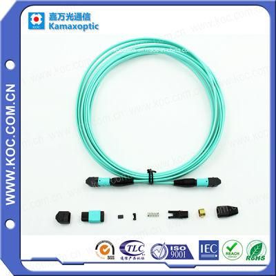 MPO/MTP Om3 10g Optical Fiber Jumper for Data Center