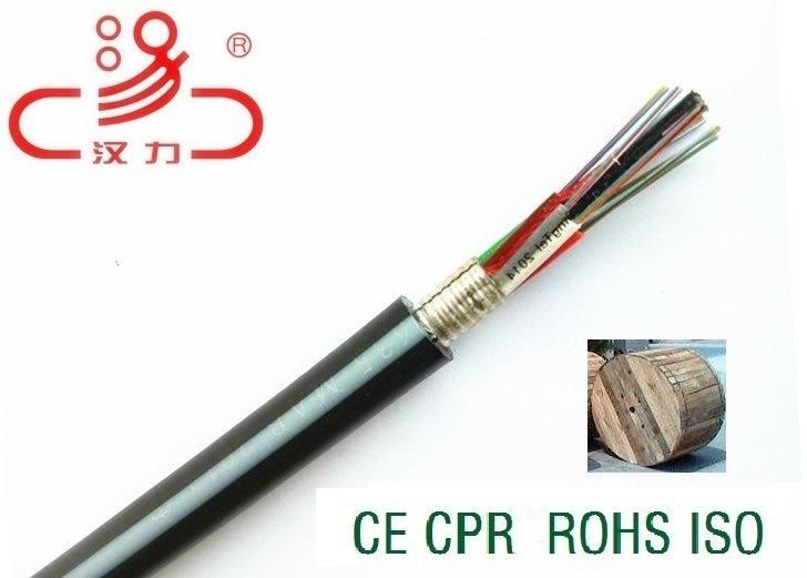 Gytw, GYTA, GYTS 2- 48core Optical Fiber Cable