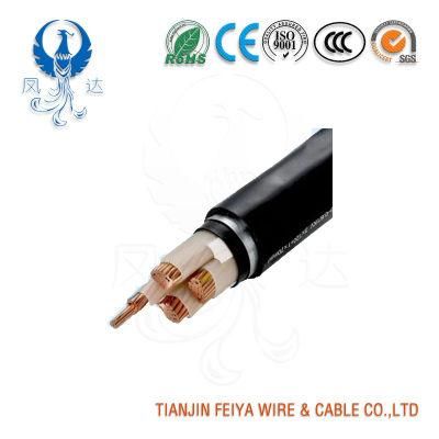 0.6/1kv 2X4mm2 Copper Conductor XLPE Insulated Double Stainless Steel Tape Sta Armored PVC Sheahthed LV Anti-Termite Power Cable