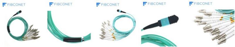 MPO (Male) APC- LC/Upc Fan out 0.9mm 30cm Patch Cord