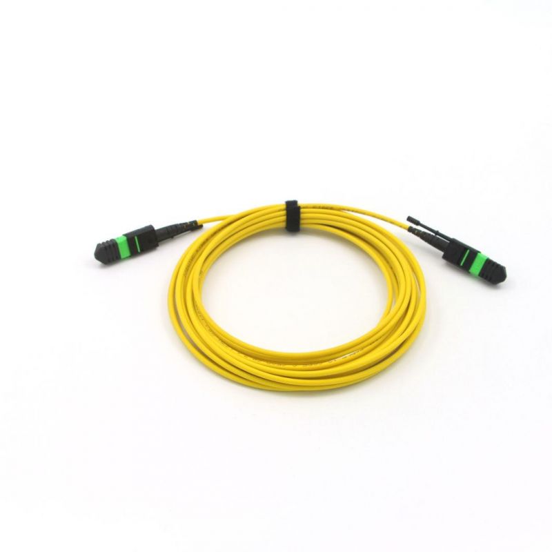 MPO/MTP Om3 10g Optical Fiber Jumper for Data Center
