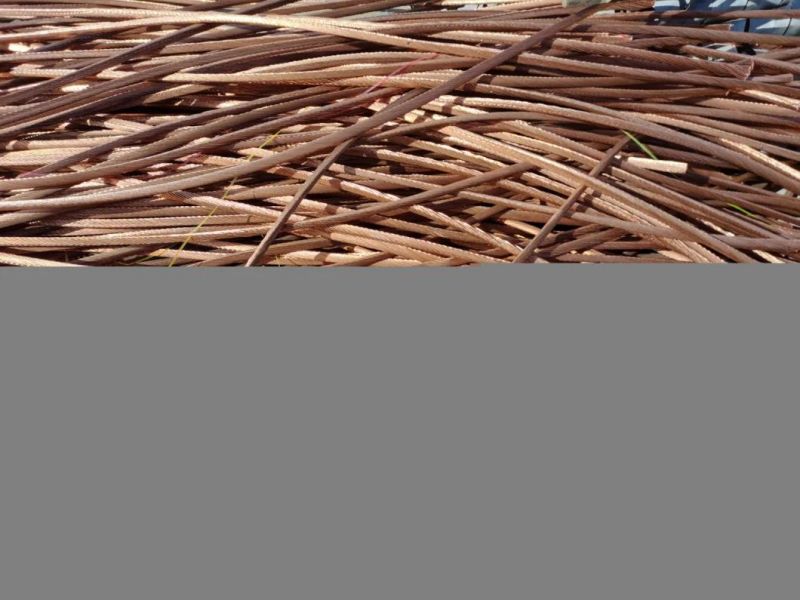 Limited High-Quality Low-Price Scrap Copper Wire with High Purity of 99.99%, Meeting SGS Testing