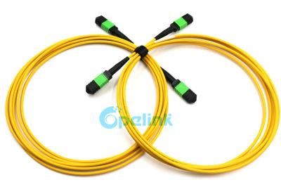 High Performance High-Density MPO-MPO Trunk Fiber Patchcord with Factory Price