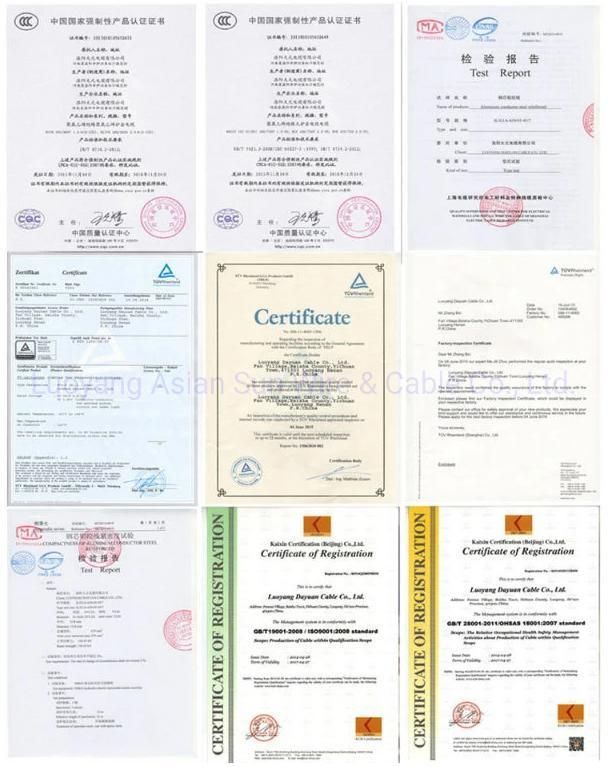 China Manufacturer Overhead Bare Conductor AAAC Cable