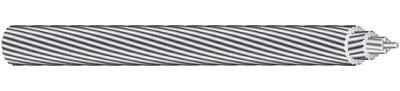 AAAC Conductor