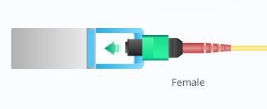 Breakout Cable MTP 24 OS2 Single Mode Fiber Jumper Wire Patch Cord