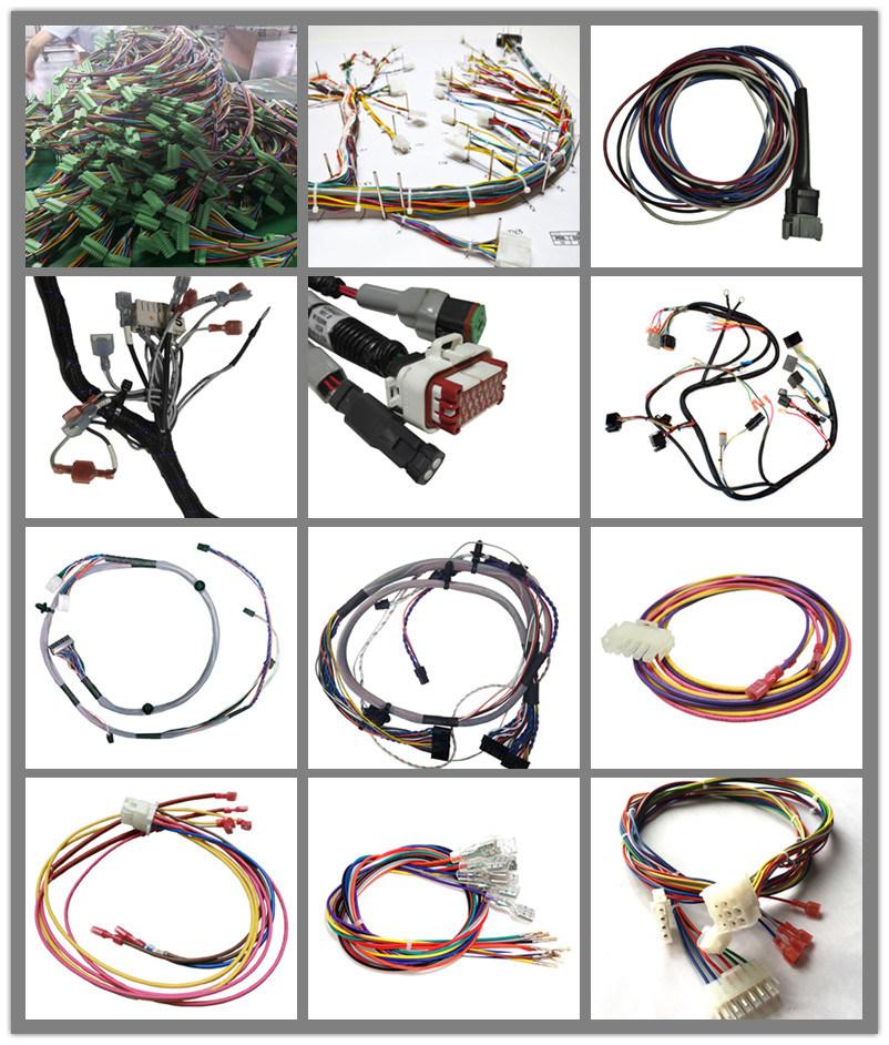 OEM Manufacturer Customized Electronic Wire Harness with DC5525 Plug for Machine