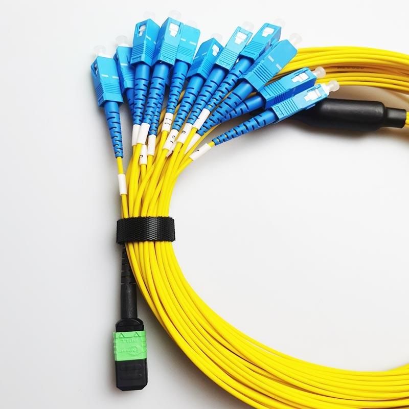 Singlede Mulitmode Om3 Om4 12 24 Fiber MTP MPO to LC Fanout or Break out LSZH Ofnp Ofnr Cable Patch Mo Cord for Sale