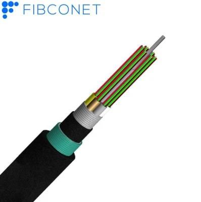 Ftta 96/144 Core GYTA/GYTS ADSS Armored Flat Optical Fiber