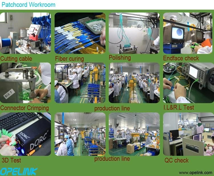 Multimode 12 Fibers MPO-LC Fanout Fiber Optic Jumper