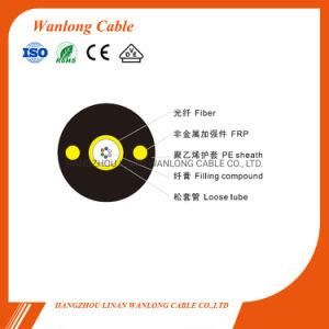 High Performance 2 Cores Mini Fiber Cable