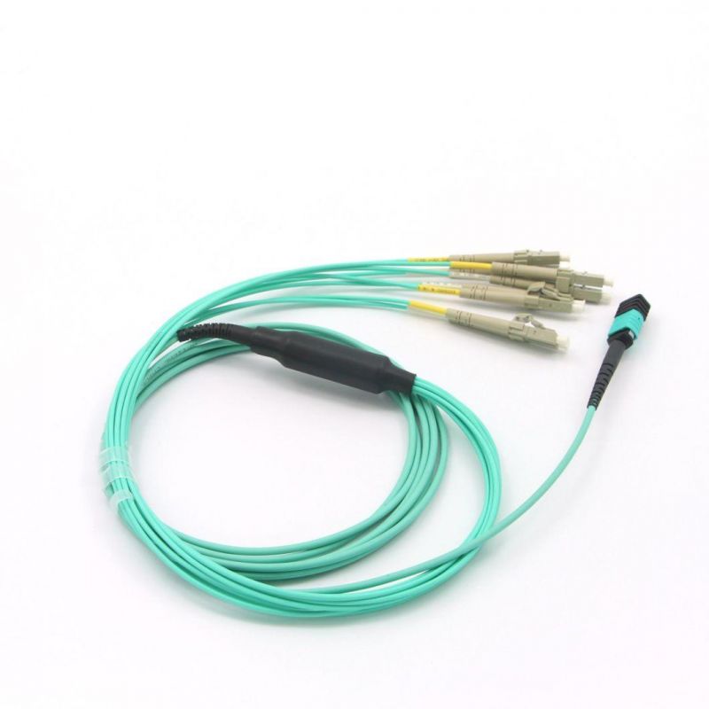 Fiber Optical Patch Leads with Different MPO and Fiber.