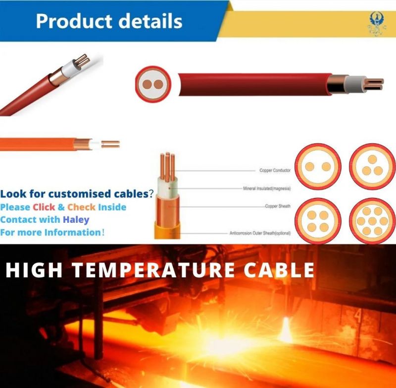 Fly750V 2 Cores Mineral Insulated Fire Resistant Suitable Oil Gas Petroleum Industries Airports Emergency Lighting Systems and Fire Alarm Systems Oil Gas Cable