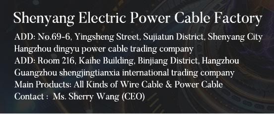 Shenguan Muti Core Flexible Electric Control Cable Electric Cable