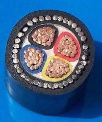 PVC Insulated Swa Cable (VV32/VV22)