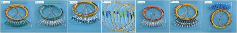 Set (12 Fibres) Om4 Multi-Mode Simplex Sc/Upc Fiber Optic Pigtail